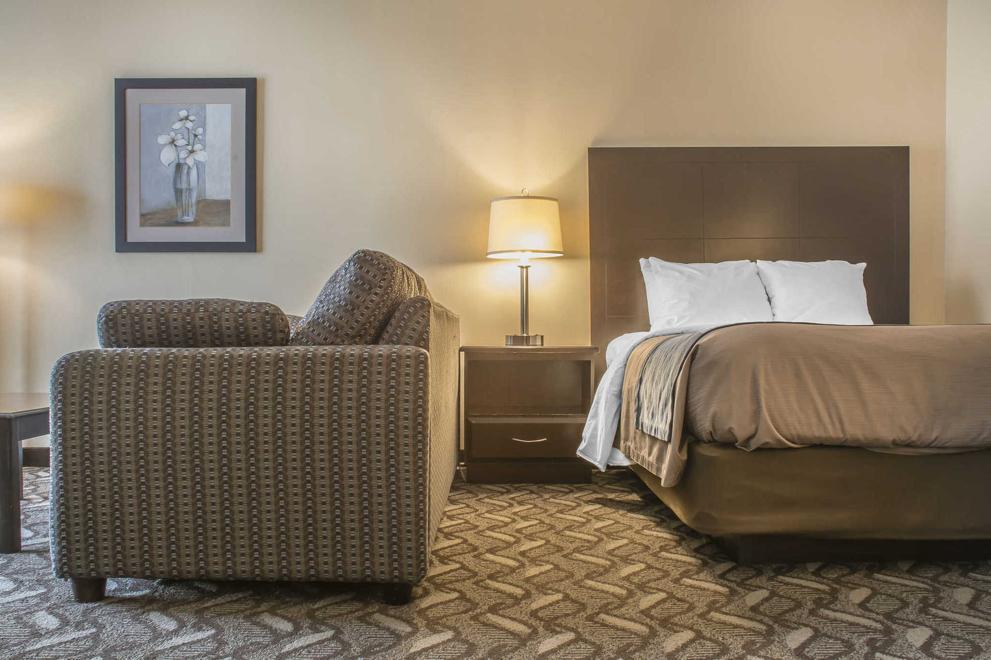 Comfort Inn & Suites Ambassador Bridge Windsor Kamer foto