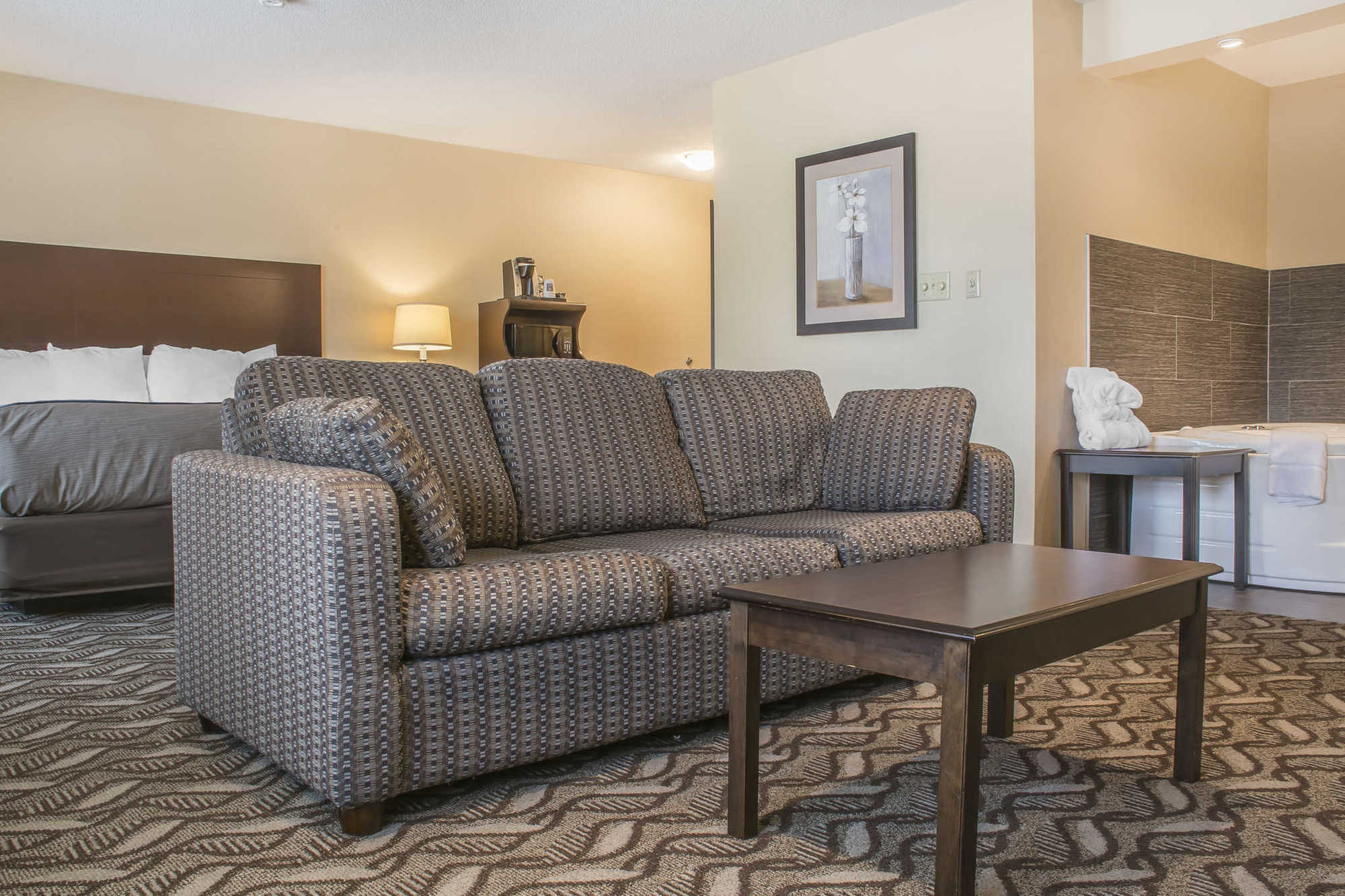 Comfort Inn & Suites Ambassador Bridge Windsor Kamer foto