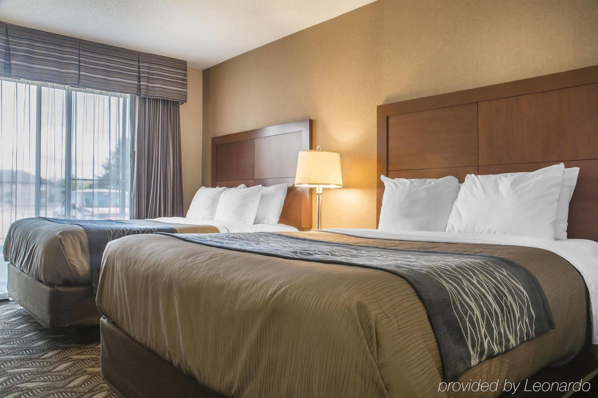 Comfort Inn & Suites Ambassador Bridge Windsor Buitenkant foto